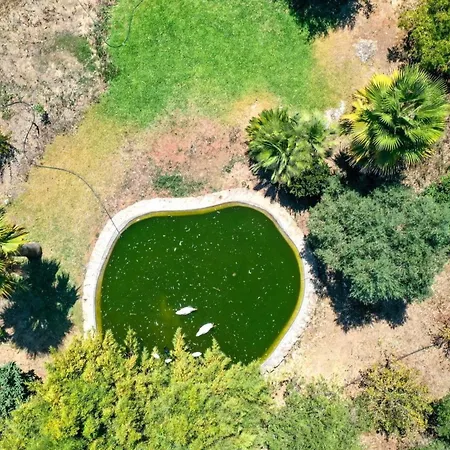 Praechtiges Mit Spektakulaerer Aussicht By Interhome Pollensa